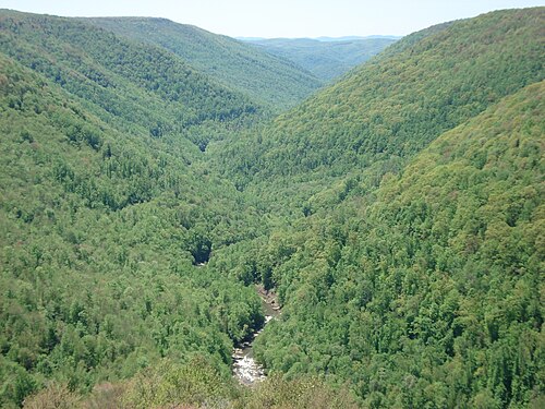 Blackwater River (West Virginia)